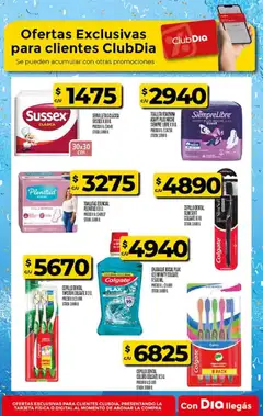 Vista previa Supermercado DIA Ofertas válido desde el 17/06/2026 | Página: 29 | Productos: Servilletas, Cepillo, Enjuague bucal