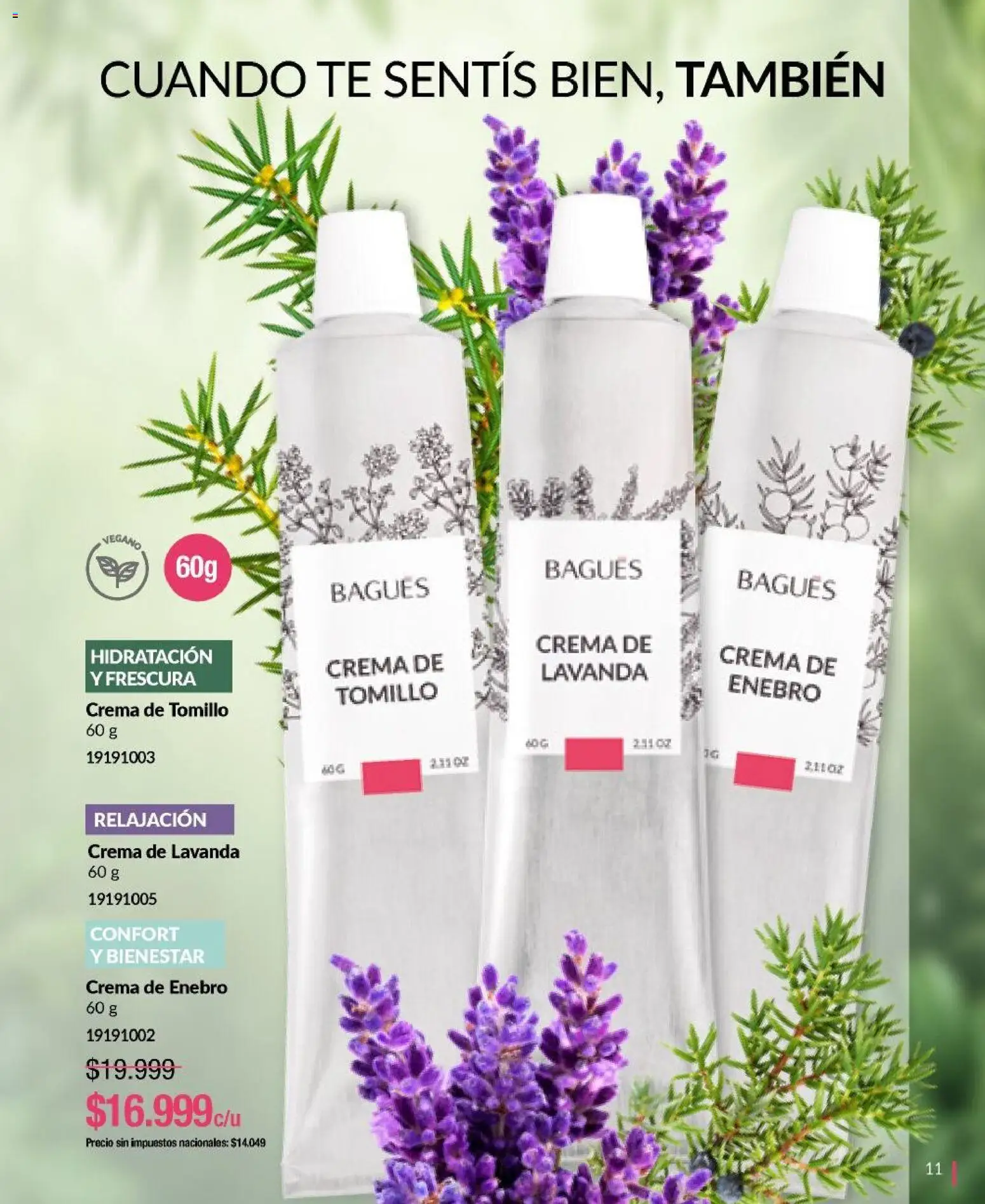 Bagués - Catálogo │ válido desde el 29/06/2026 | Página: 11 | Productos: Té, Crema