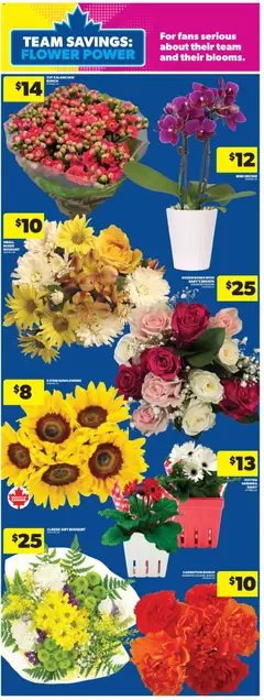 Preview of Real Canadian Superstore weekly flyer / circulaire from shop Real Canadian Superstore valid from Jul 2, 2026 | Page: 13