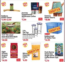 Preview of Ocean State Job Lot weekly ads valid from 21.05.2026 | Page: 4 | Products: Bath, Coffee, Iron
