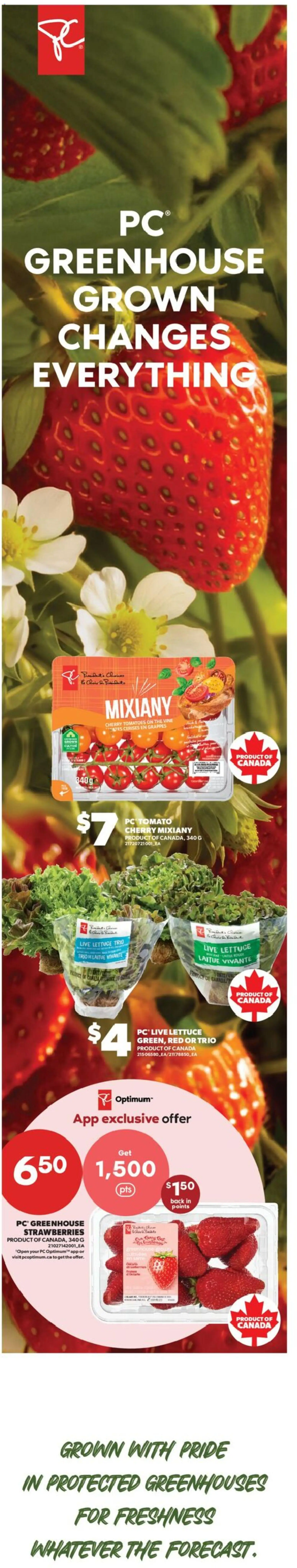 Real Canadian Superstore flyer valid from Oct 29, 2026 | Page: 5