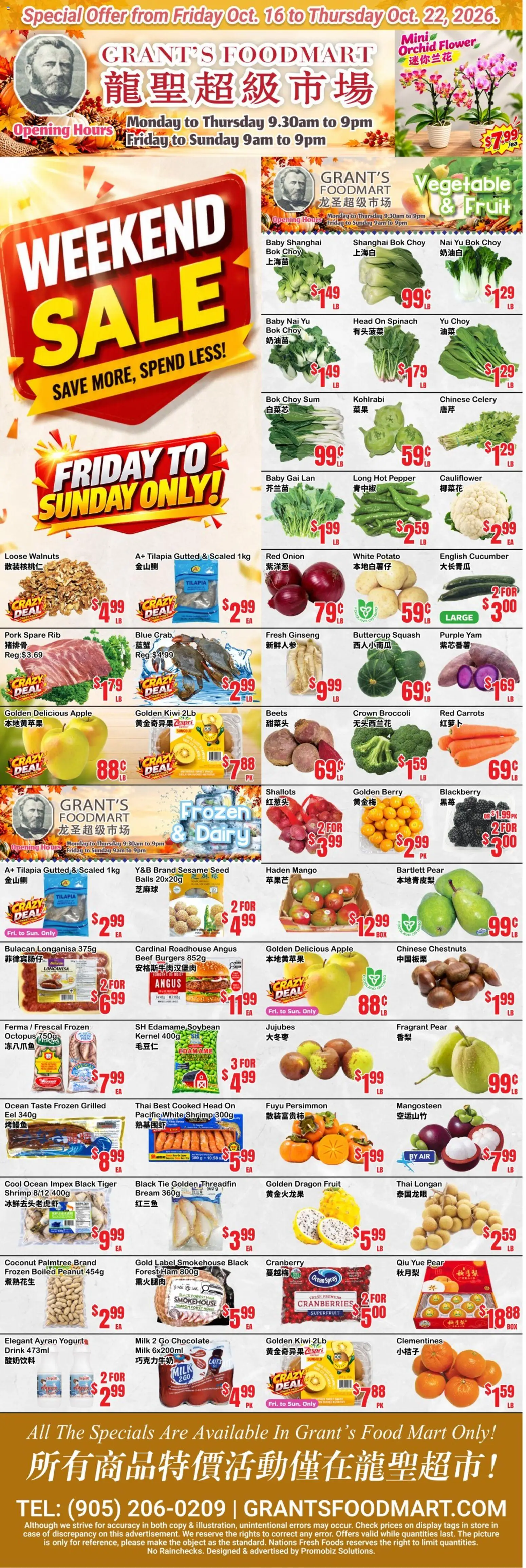 Oceans flyer valid from Oct 16, 2026 | Page: 1