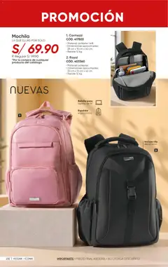 Vista previa de folleto Azzorti catálogo - Campaña 13 de la Azzorti válido desde 14/08/2026 | Página: 234 | Productos: Mochila, Laptop