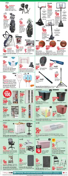 Preview of Canadian Tire weekly flyer from shop Canadian Tire valid from 14.05.2026 | Page: 11 | Products: Tea, Cabinet