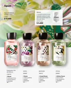 Natura Ofertas válido desde el 30.04.2026 | Página: 70 | Productos: Agua, Limón