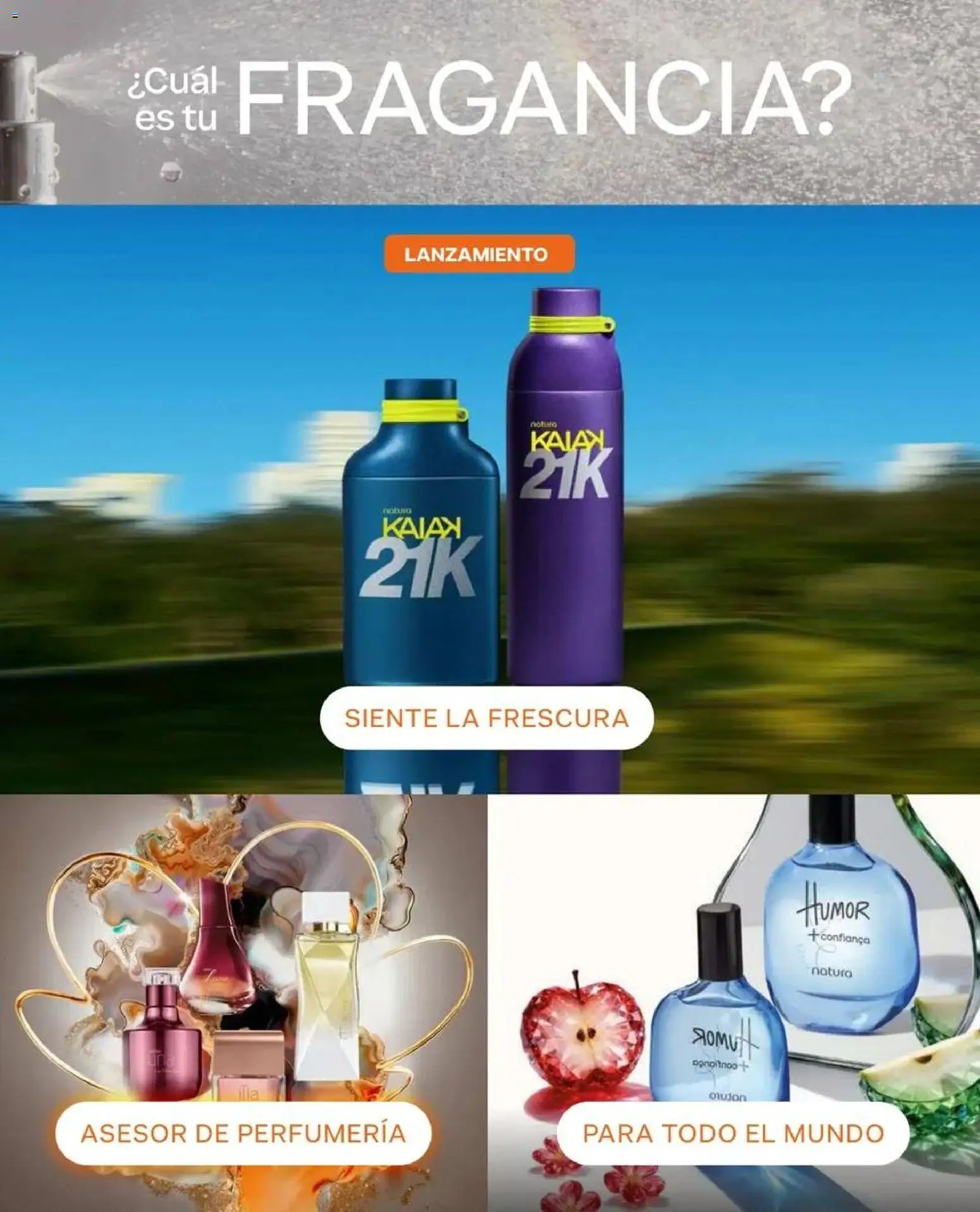 Natura catálogo │ válido desde el 15.09.2026 | Página: 28