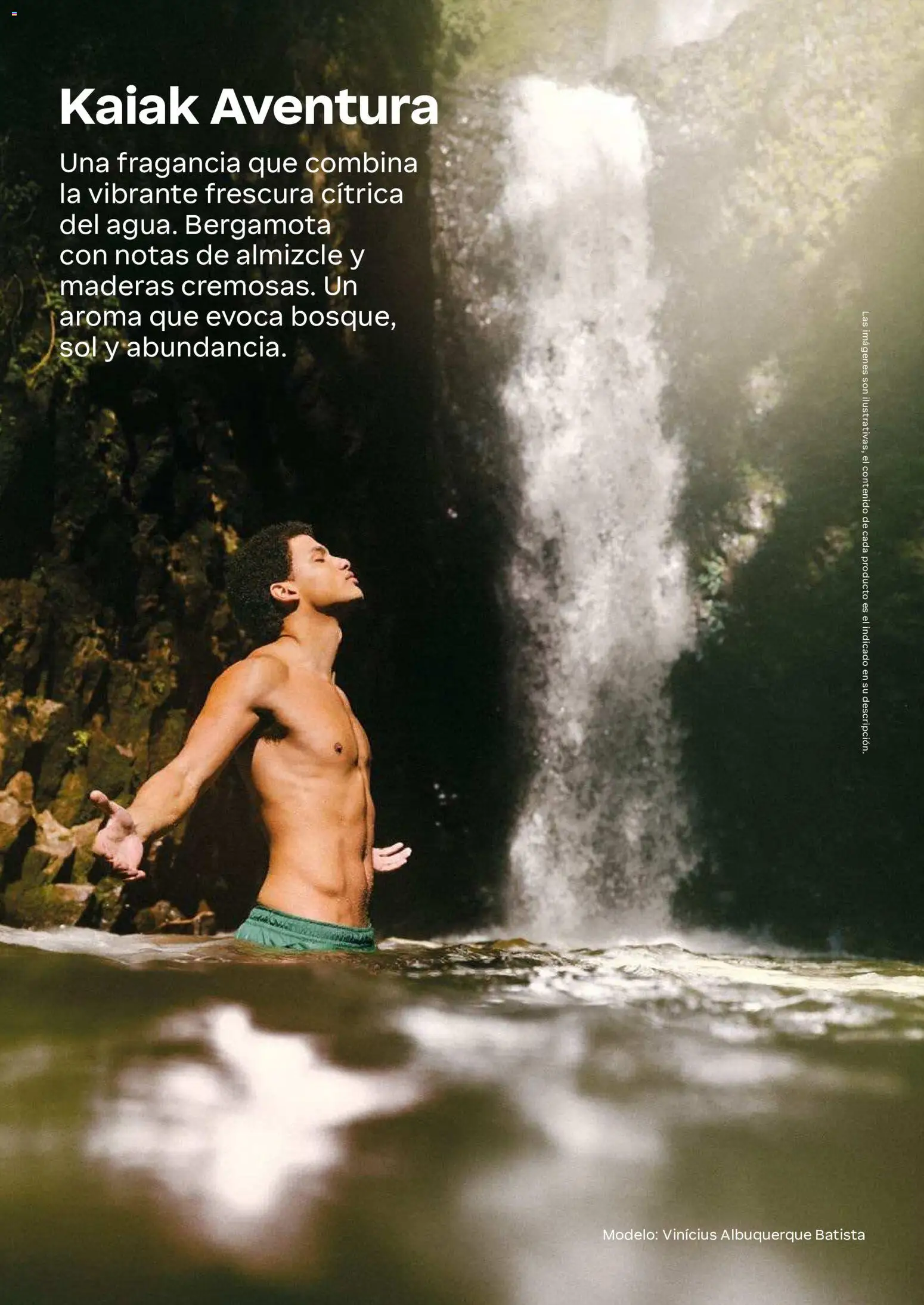 Natura revista - valida desde el 01/07/2026 | Página: 42 | Productos: Fragancia