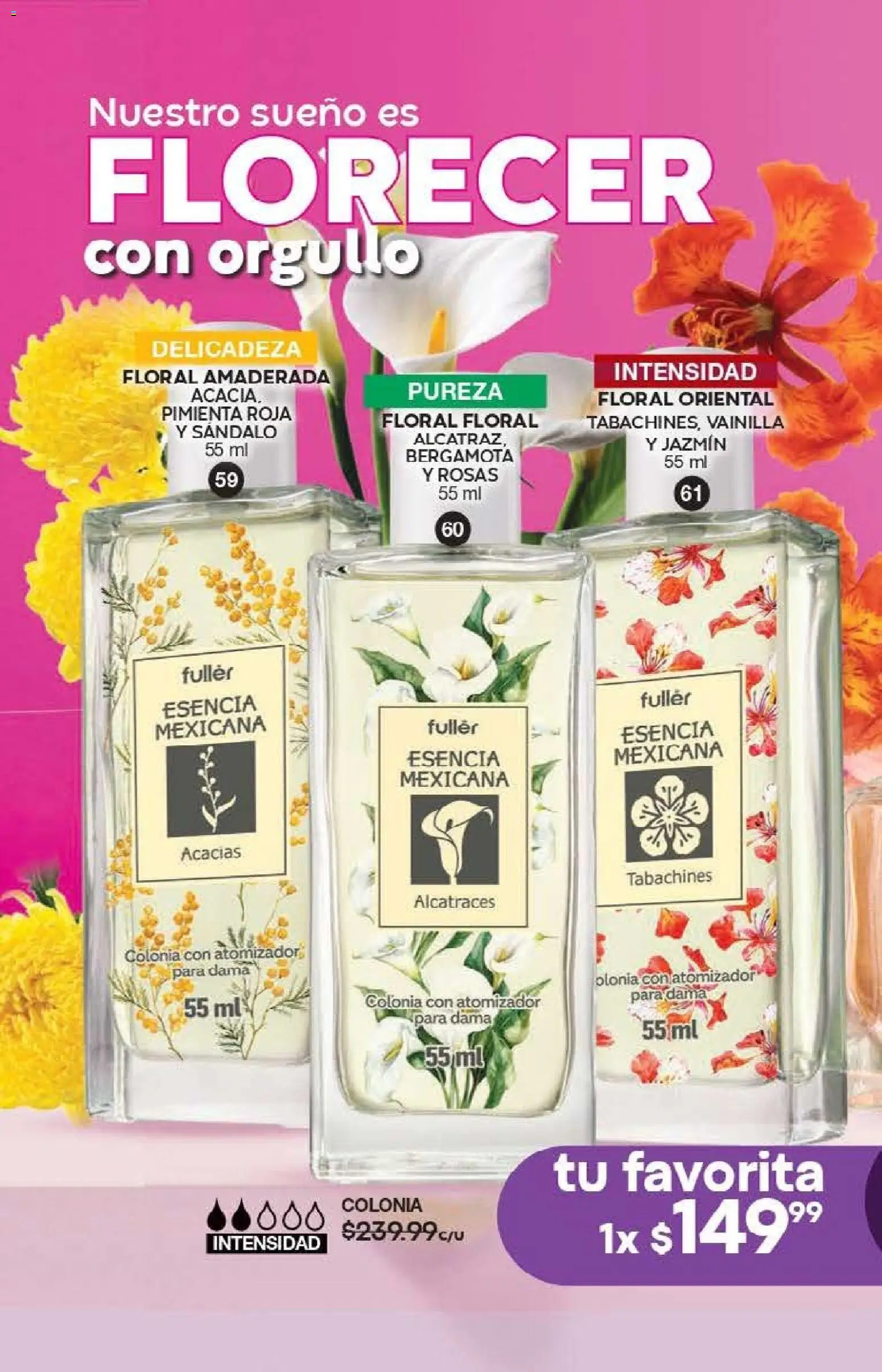 Nuevas ofertas de Fuller válidas en toda la República Mexicana desde el 13.05.2026. ¡Encuentra las mejores ofertas en Fuller campaña 3 2026! | Página: 28 | Productos: Pimienta