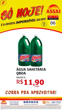 Assaí Atacadista ofertas - DF - Pré-Visualização do folheto da loja Assaí Atacadista, válido de 06/07/2026