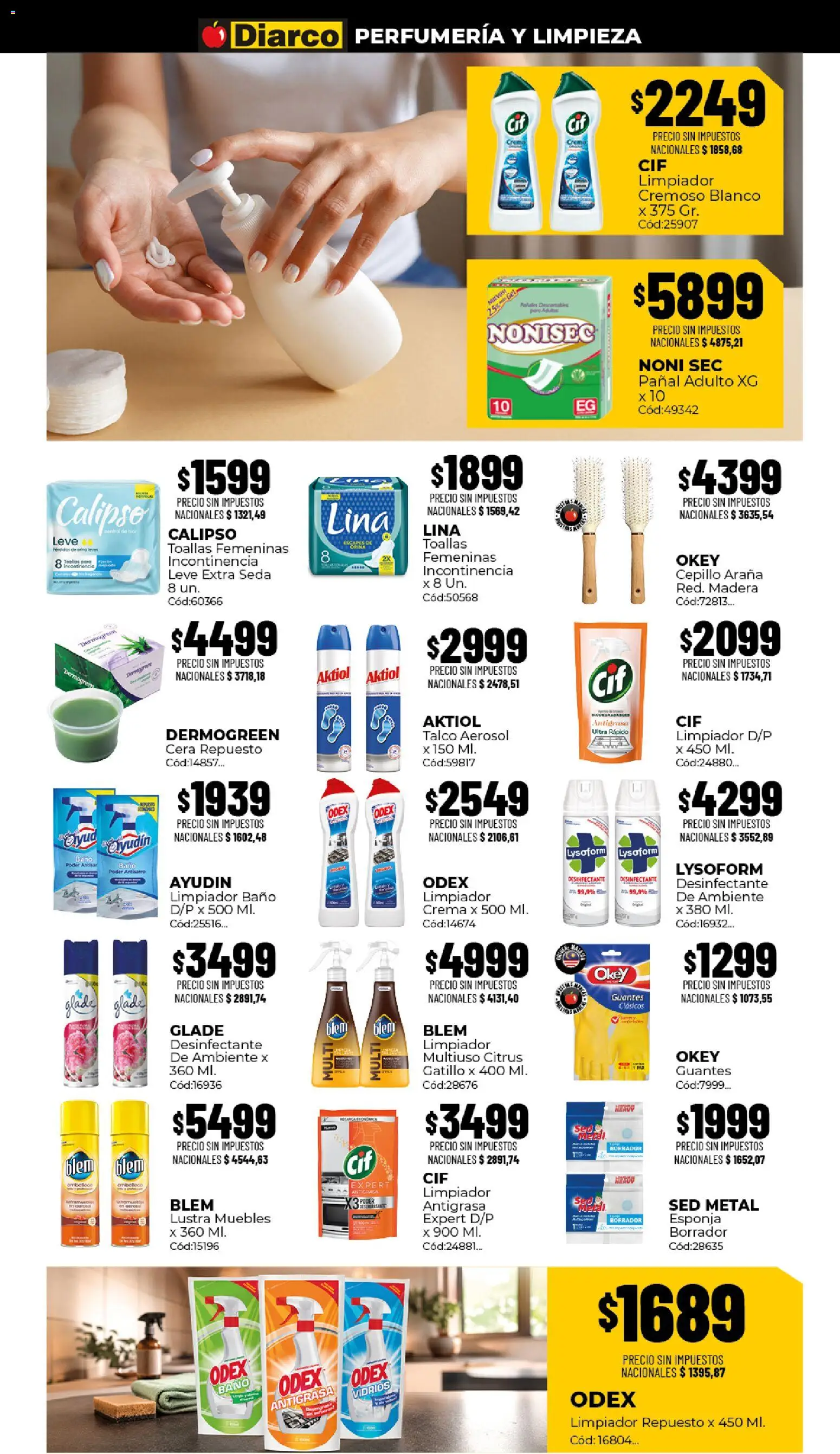 Diarco - Ofertas Sur │ válido desde el 10/08/2026 | Página: 15 | Productos: Desinfectante, Toallas, Cepillo, Crema