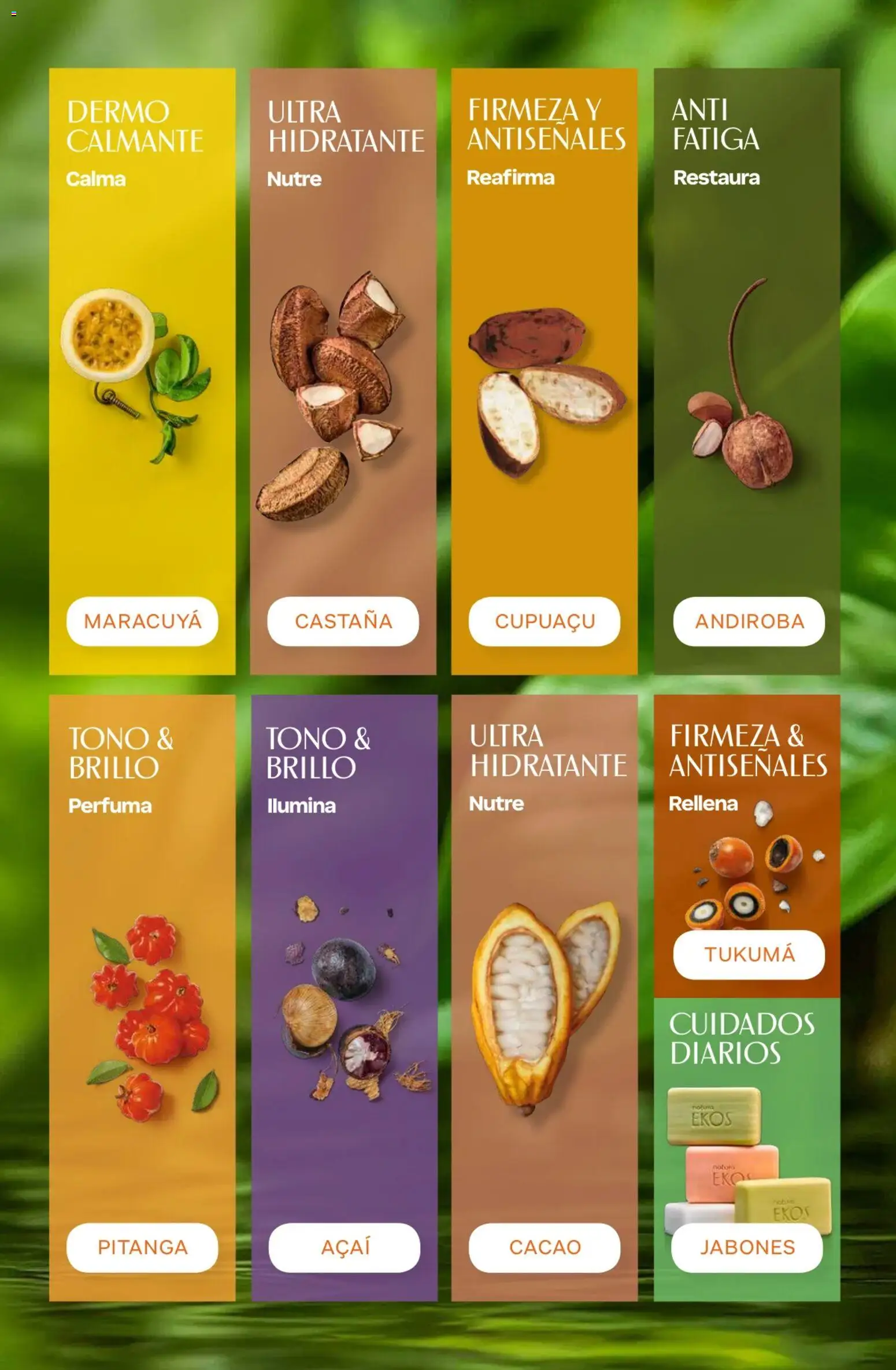 Catálogo Natura Ciclo 10 │ válido desde el 30/06/2026 | Página: 206 | Productos: Brillo, Cacao