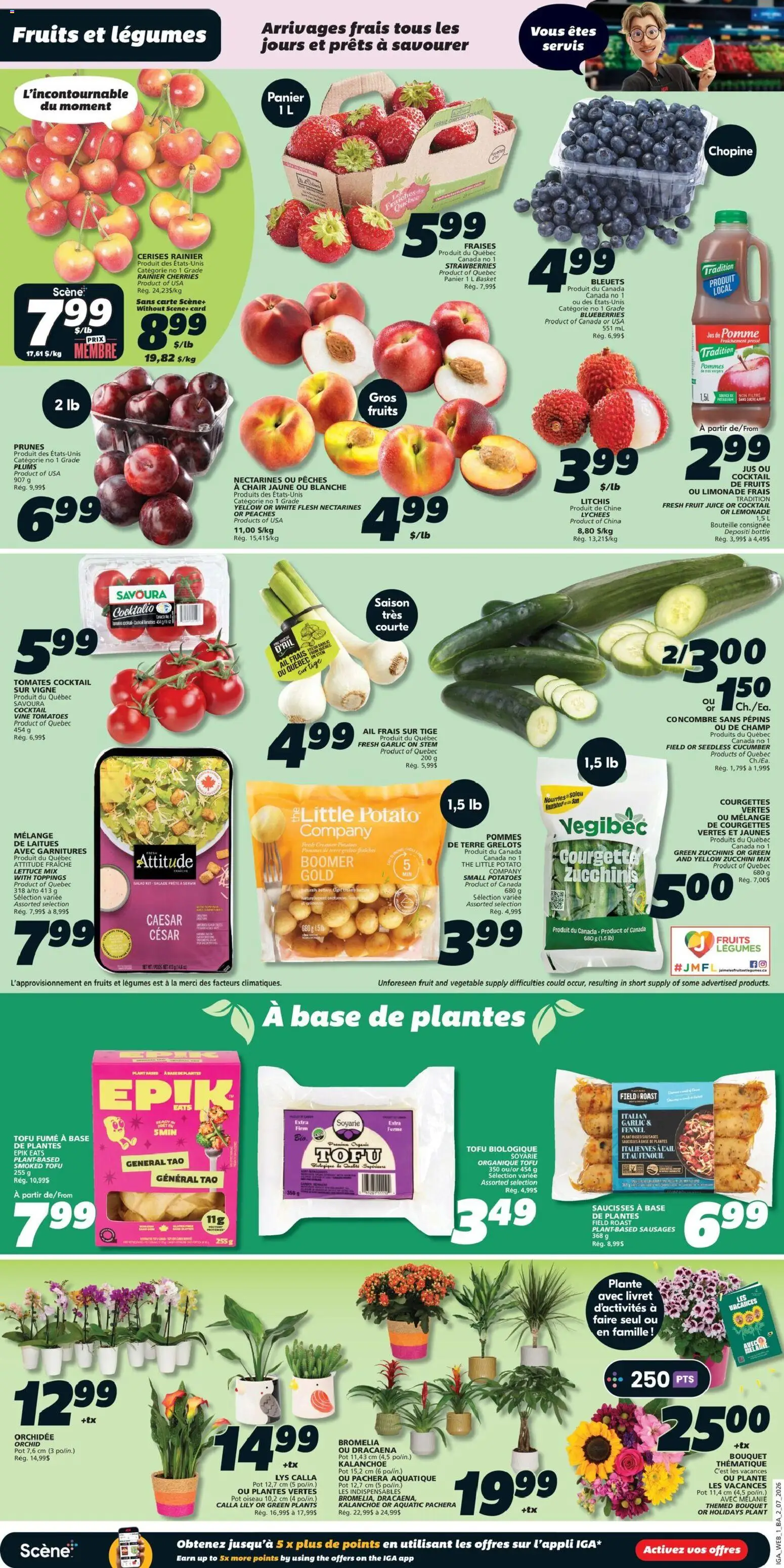 IGA flyer valid from Jul 2, 2026 | Page: 3 | Products: Chair, Basket, Juice, Tomatoes
