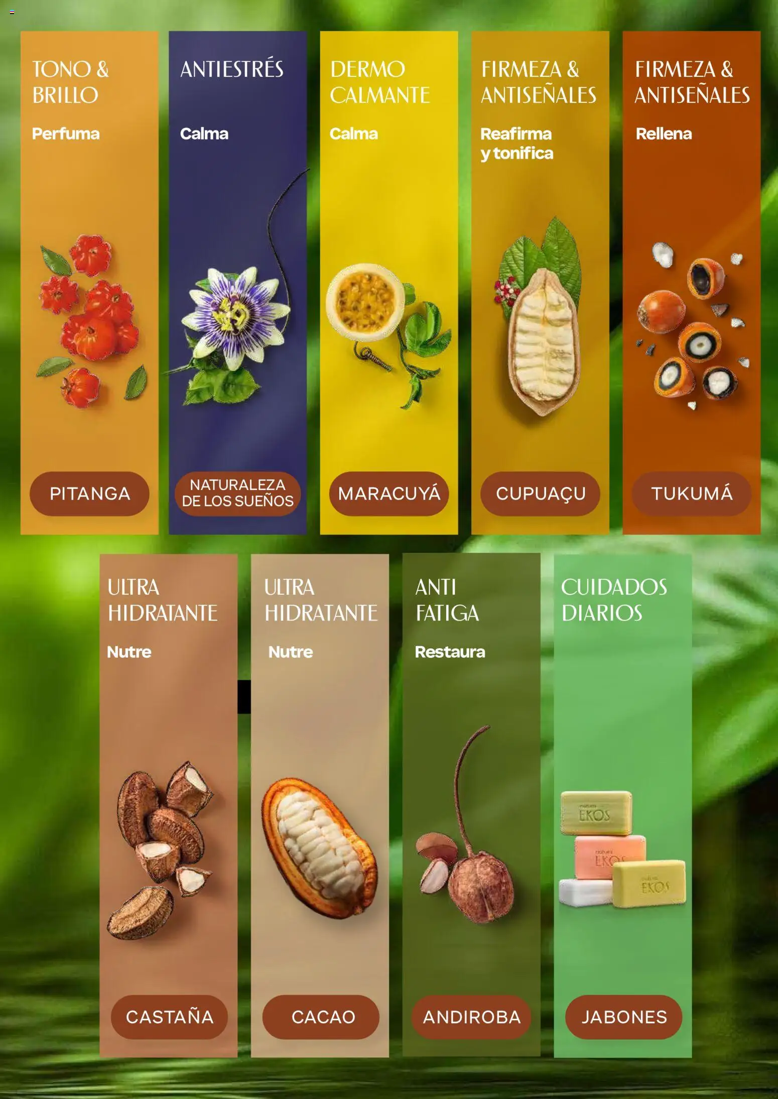 Natura revista - valida desde el 19/10/2026 | Página: 117