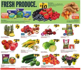 Preview of Winn Dixie weekly ads valid from 10.06.2026 | Page: 2