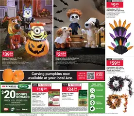 Preview of ACE Hardware weekly ads valid from 10/01/2026 | Page: 2
