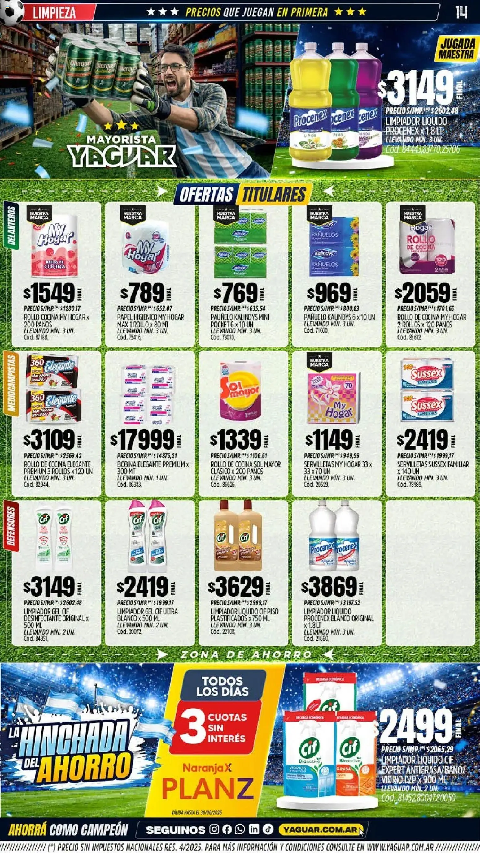 Yaguar - Oferta Semanal Chaco │ válido desde el 15.06.2026 | Página: 13 | Productos: Desinfectante, Cocina, Limón, Limpiador