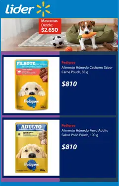 Lider Ofertas válido desde el 25.05.2026 | Página: 3