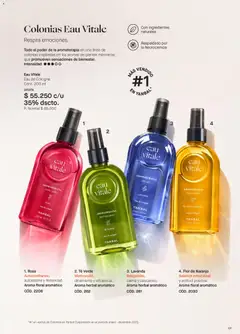 Yanbal catálogo -  Vista previa de la revista de la tienda Yanbal valido desde el 20/06/2026 | Página: 101 | Productos: Té