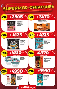 Vista previa HAMBURGUESAS DE CERDO DIA X 160 G., HAMBURGUESAS DE CERDO DIA X 160 G. válido desde el 15/07/2026 | Página: 18 | Productos: Helado, Pollo, Milanesa, Cerdo