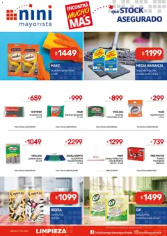 Vista previa NINI Mayorista ofertas válido desde el 18.05.2026 | Página: 13