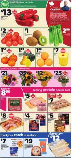 Preview of Zehrs weekly flyer / circulaire from shop Zehrs valid from Sep 17, 2026 | Page: 3
