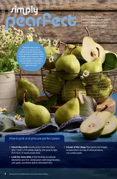 Preview of Aldi catalogue Winter revival - valid from 02.06.2026 | Page: 6