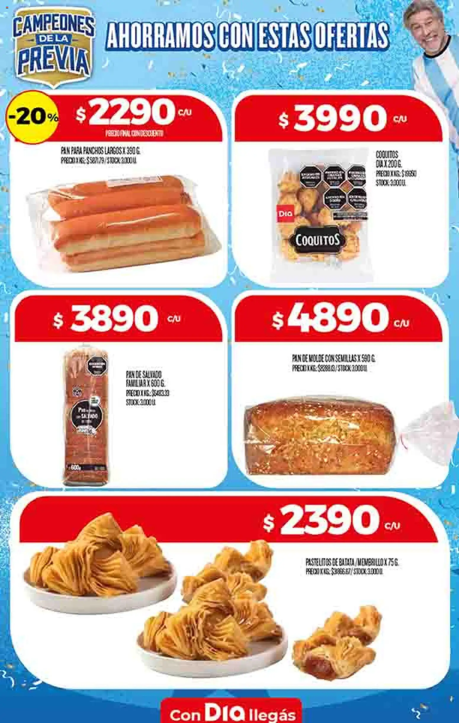 Dia - Ofertas - Excluye Salta y Jujuy │ válido desde el 06.05.2026 | Página: 24 | Productos: Molde, Semillas, Pan