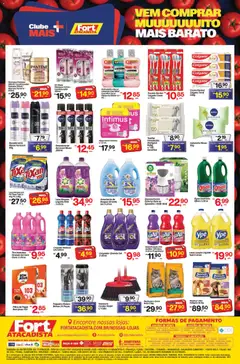 Fort Atacadista - Ofertas da semana - Pré-Visualização do folheto da loja Fort Atacadista, válido de 08/09/2026 | Página: 4