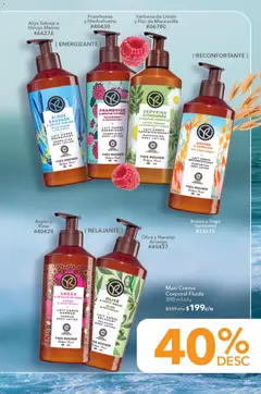 Vista previa de Yves Rocher campaña 11 2026, nuevo folleto de la tienda, válido en México a partir del 04/08/2026 | Página: 37