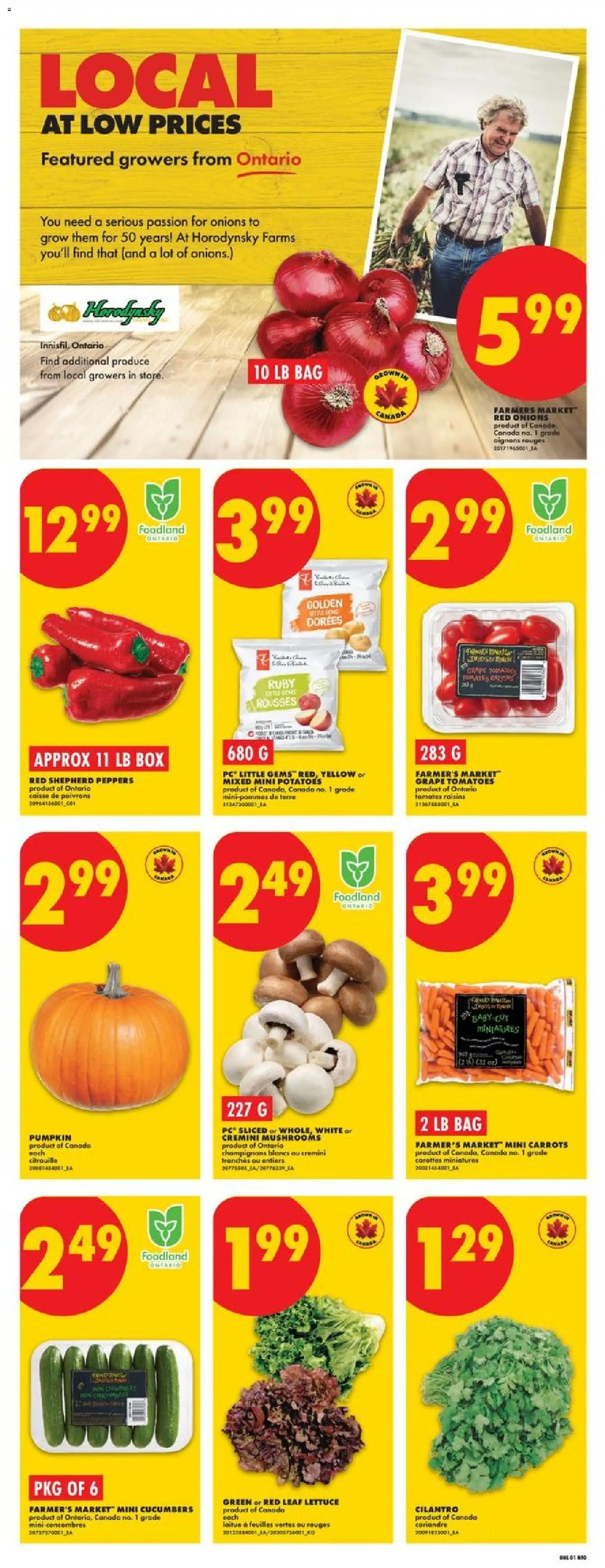 No Frills flyer valid from Sep 17, 2026 | Page: 3