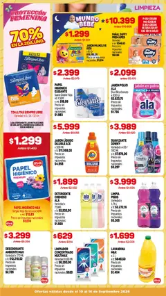 Vista previa Makro Ofertas válido desde el 10/09/2026 | Página: 13