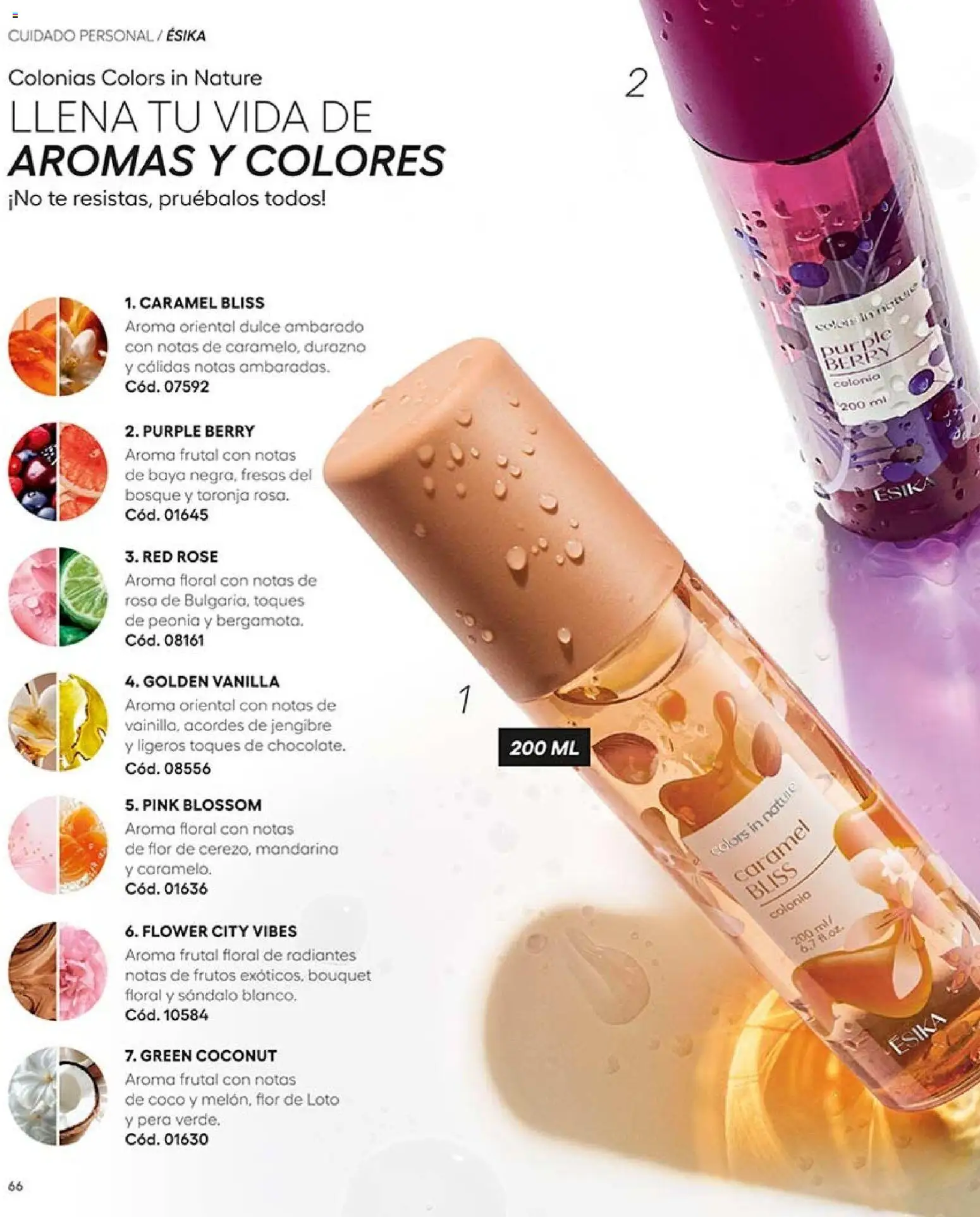 Ésika revista - valida desde el 07/09/2026 | Página: 68 | Productos: Té, Fresas, Jengibre, Pera
