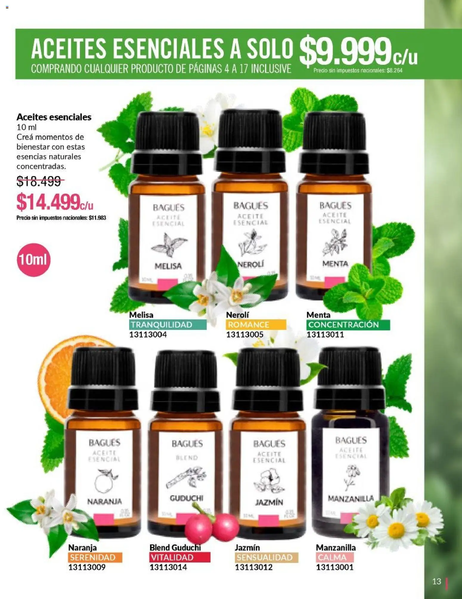 Bagués - Catálogo │ válido desde el 29/06/2026 | Página: 13 | Productos: Aceite, Esencias