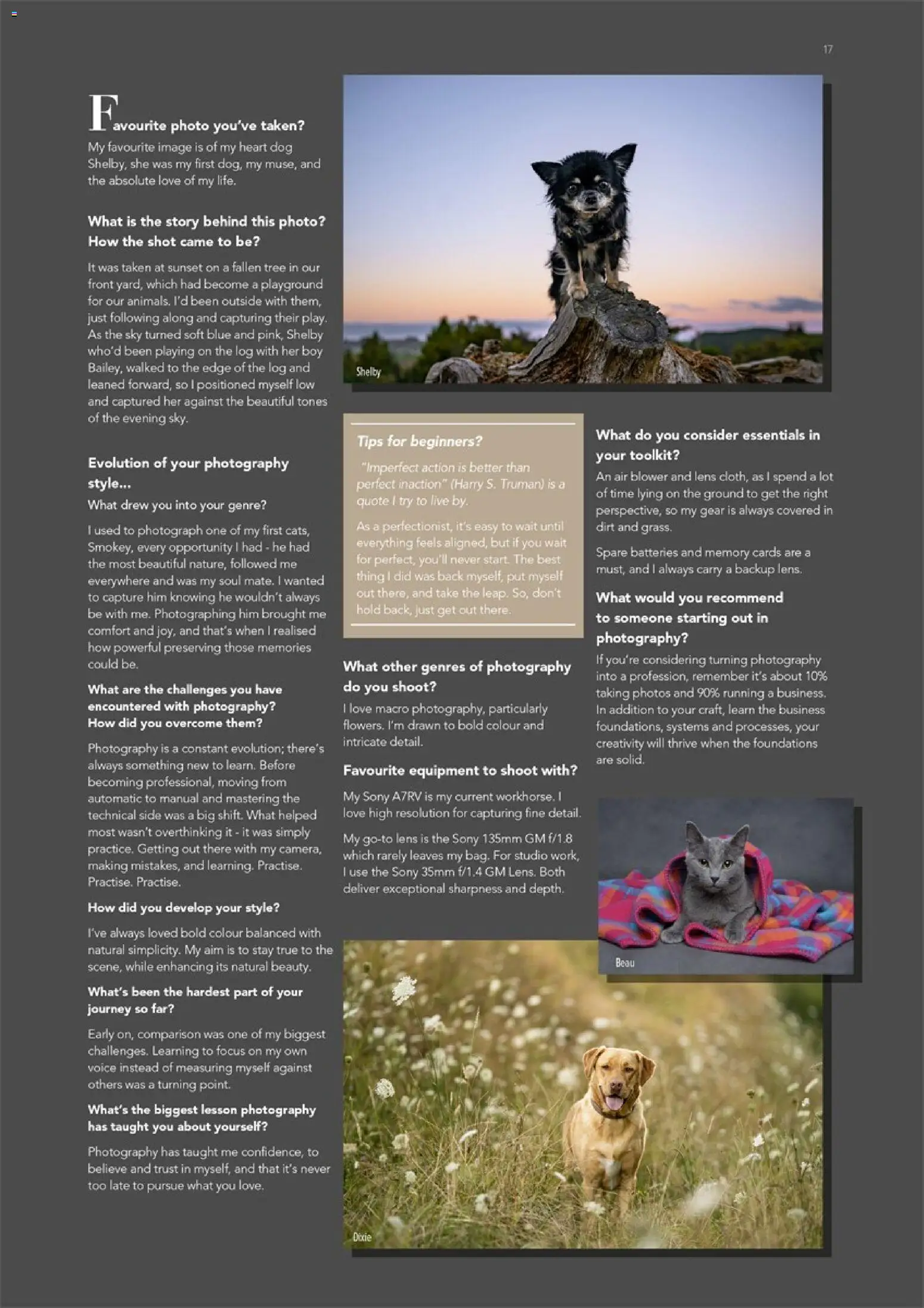 Harvey Norman catalogue from 1 May 2026 | Page: 17