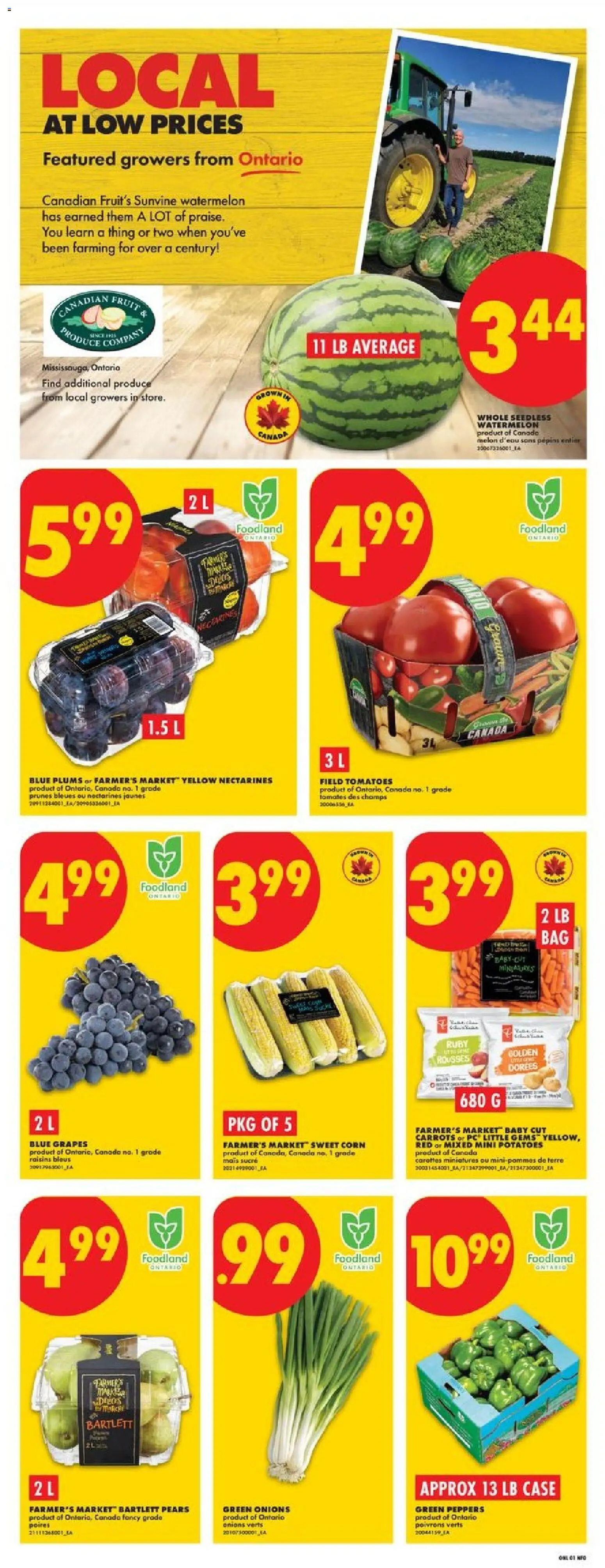 No Frills flyer valid from Sep 3, 2026 | Page: 3 | Products: Corn, Nectarines, Seedless watermelon, Grapes