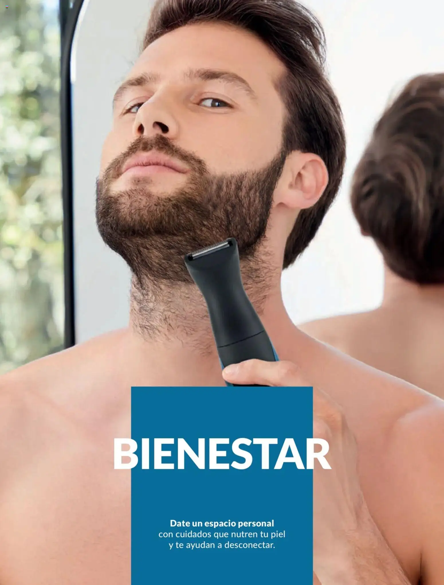 Catálogo Avon válido desde 17.06.2026 | Página: 178 | Productos: Té