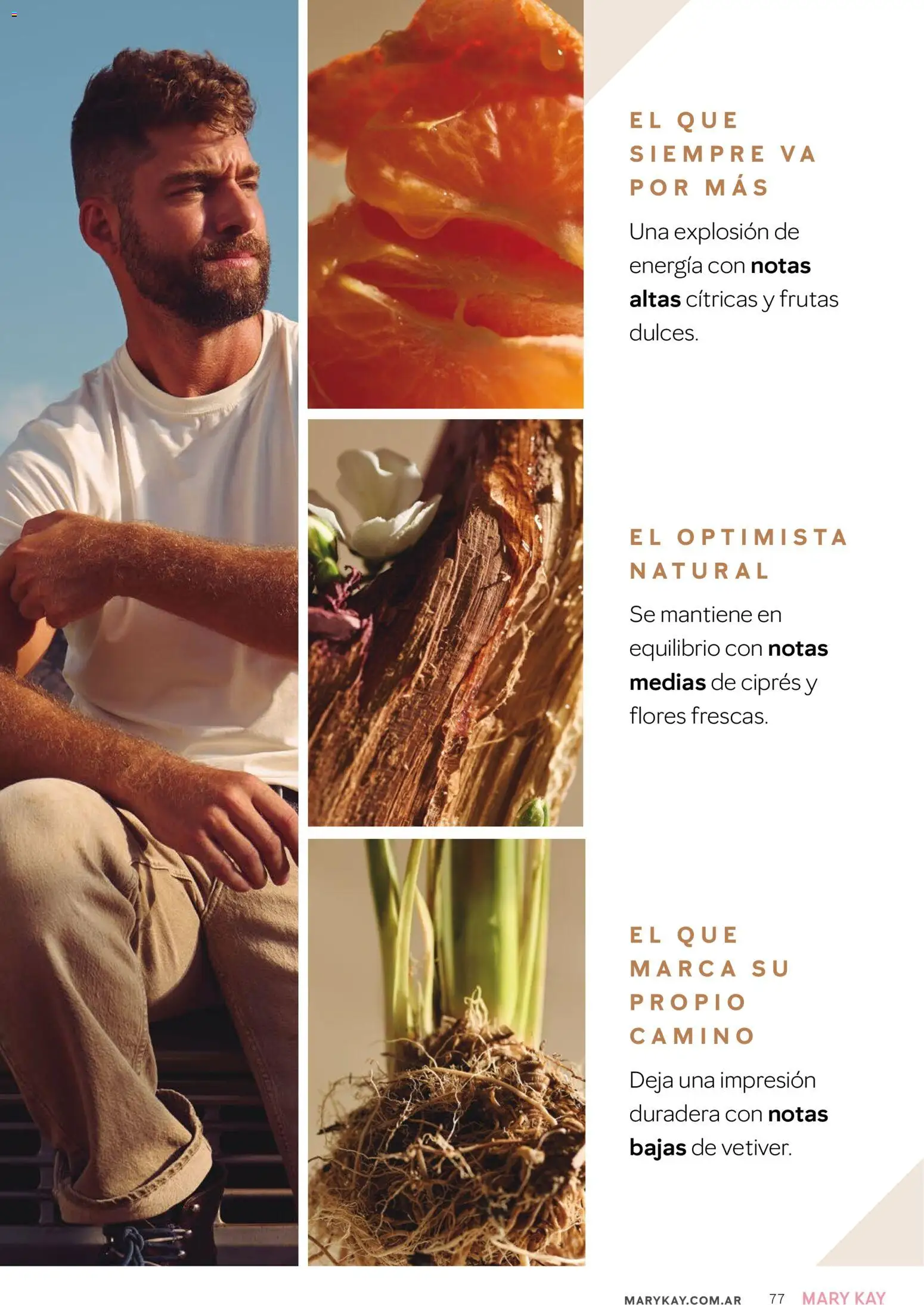 Mary Kay - Catálogo │ válido desde el 01/09/2026 | Página: 77 | Productos: Flores, Medias