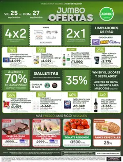 Vista previa Jumbo - Ofertas | Neuquén válido desde el 25/09/2026