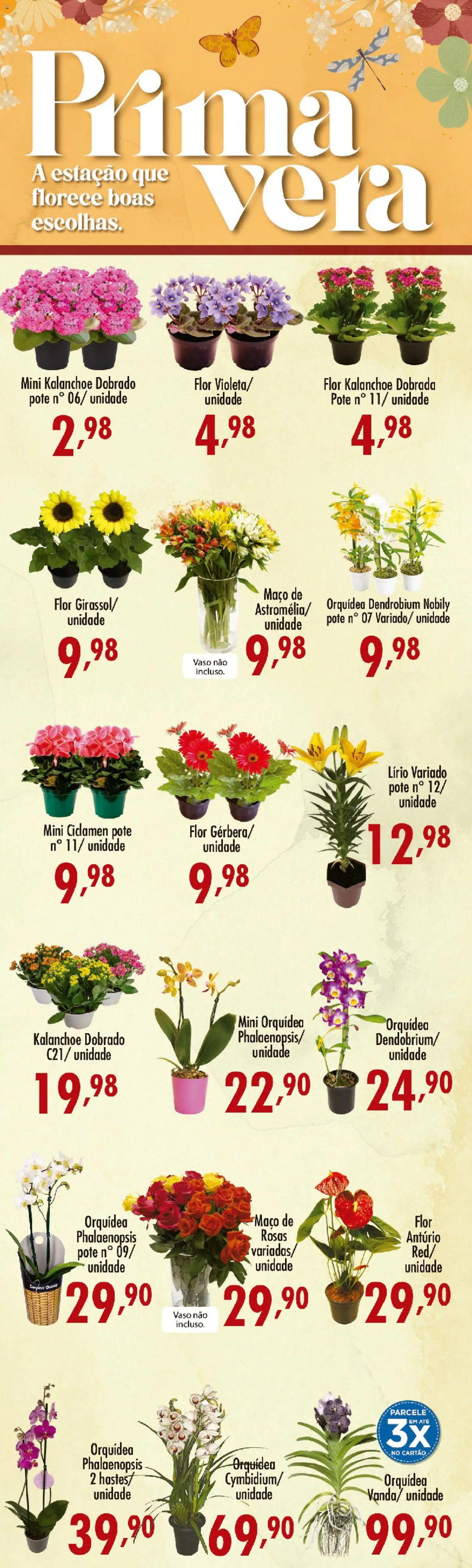Confiança Folheto - válido de 22/09/2026 | Página: 5 | Produtos: Orquídea, Vaso