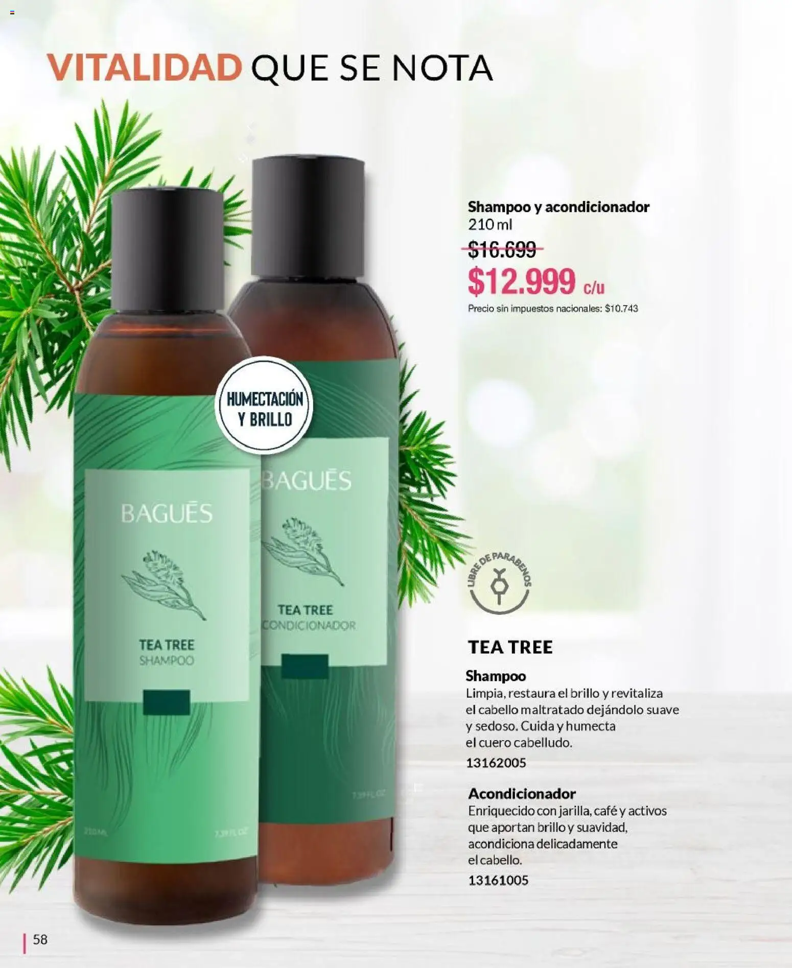 Bagués catálogo │ válido desde el 21/09/2026 | Página: 58 | Productos: Shampoo, Acondicionador, Brillo, Café