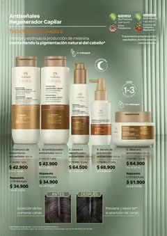 Natura catálogo Ciclo 11 -  Vista previa de la revista de la tienda Natura valido desde el 01/07/2026 | Página: 148 | Productos: Shampoo, Mascarilla, Máscara, Acondicionador