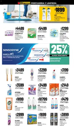 Vista previa Diarco ofertas válido desde el 24/08/2026 | Página: 15 | Productos: Antigrasa, Lavandina, Cepillo, Desodorante