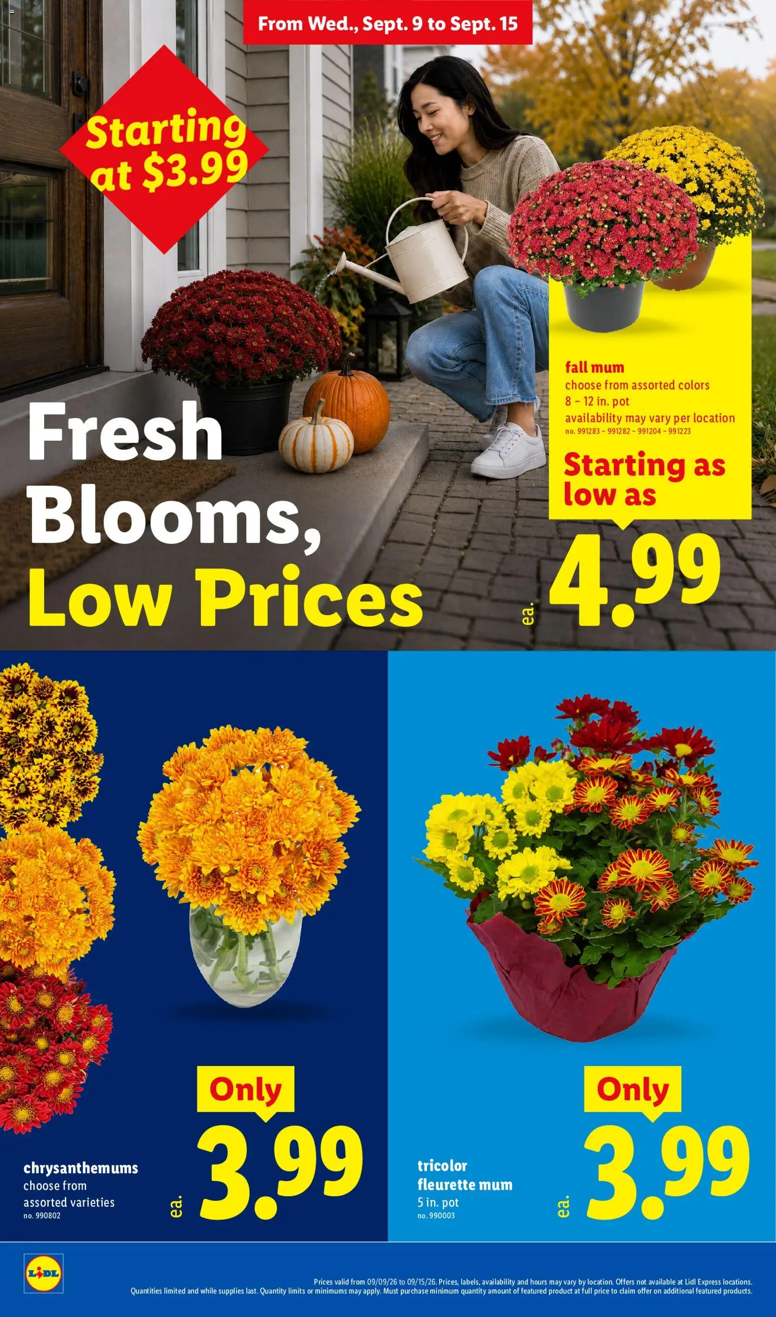 Lidl Weekly Ad - valid from 09/09/2026 | Page: 22