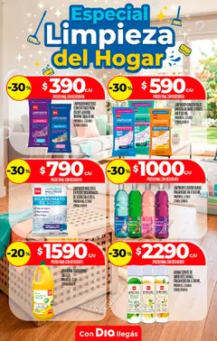 Vista previa Supermercado DIA - Especial Limpieza válido desde el 08/09/2026