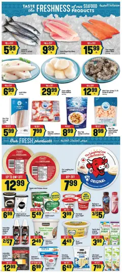 Preview of Adonis weekly flyer from shop Adonis valid from Oct 1, 2026 | Page: 4 | Products: Feta cheese, Sugar, Greek yogurt, Milk