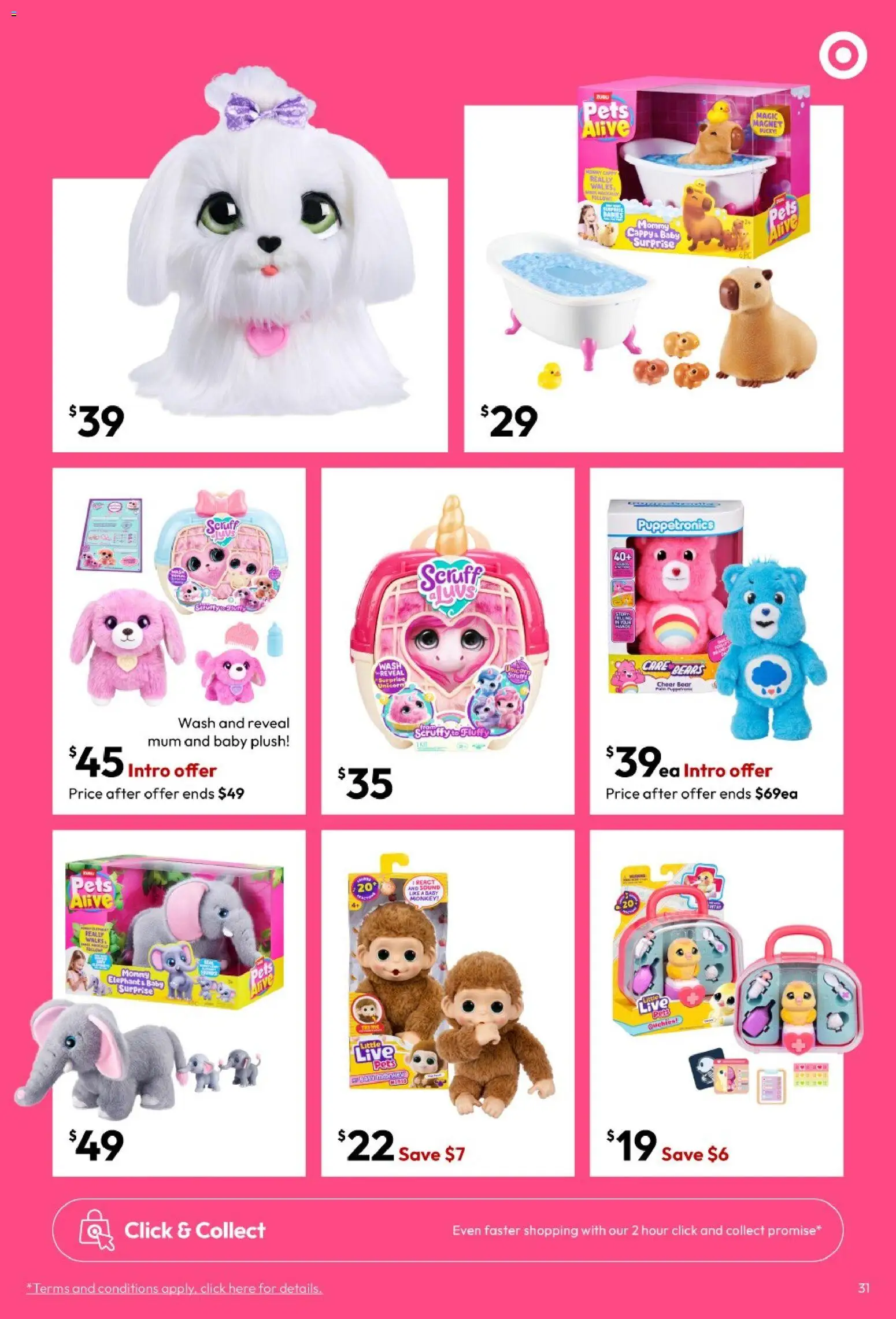 Target catalogue - valid from 25/06/2026 | Page: 31