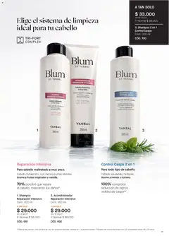 Yanbal catálogo -  Vista previa de la revista de la tienda Yanbal valido desde el 23.05.2026 | Página: 77 | Productos: Shampoo, Acondicionador, Conjunto, Aceite
