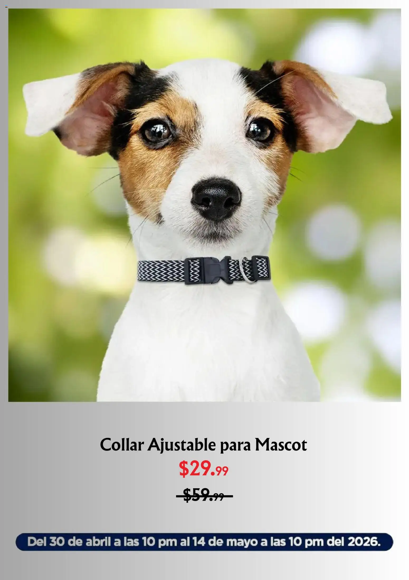 Nuevas ofertas de Waldo's válidas en toda la República Mexicana desde el 30.04.2026. ¡Encuentra las mejores ofertas en Waldo's catálogo! | Página: 5 | Productos: Collar
