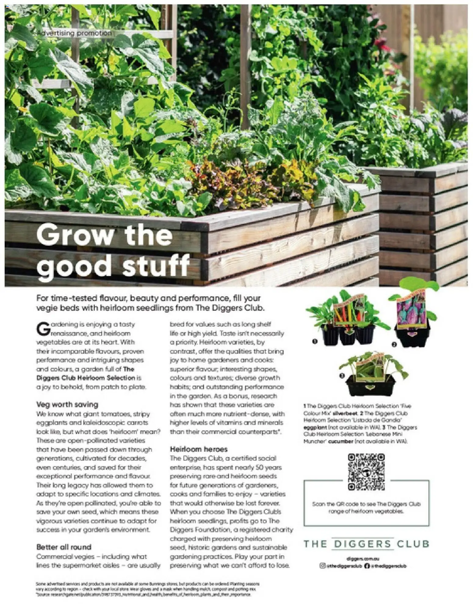 Bunnings Warehouse catalogue - valid from 01/09/2026 | Page: 74 | Products: Seeds, Vegetables, Sustainable, Eggplant