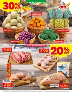 Ara catálogo los precios mas bajos -  Vista previa de la revista de la tienda Ara valido desde el 10/09/2026 | Página: 2